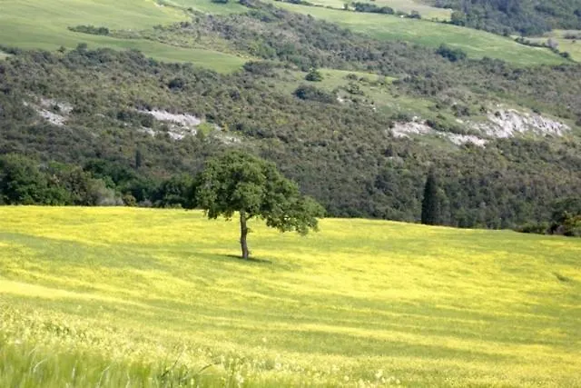 Agriturismo Pian Di Meta Vecchia Castiglione d'Orcia Farm stay