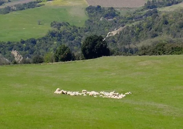 Agriturismo Pian Di Meta Vecchia Castiglione d'Orcia Italy